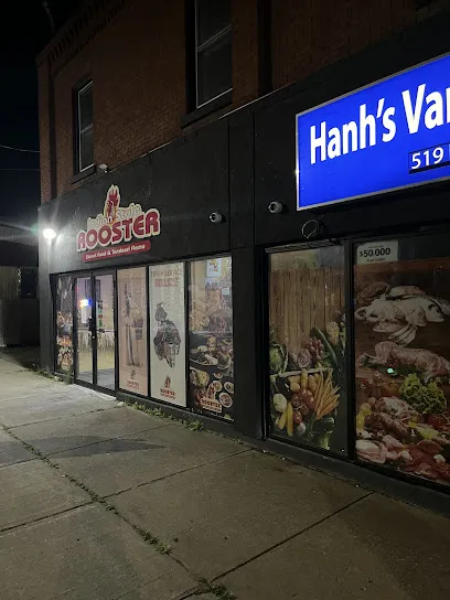 Indian Style Rooster