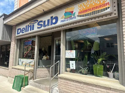 Mike's Delhi Submarine