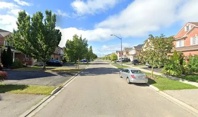 THE SEED - LA SEMILLA