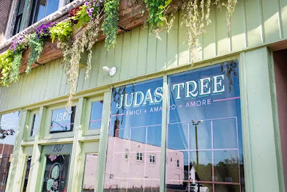 Judas Tree