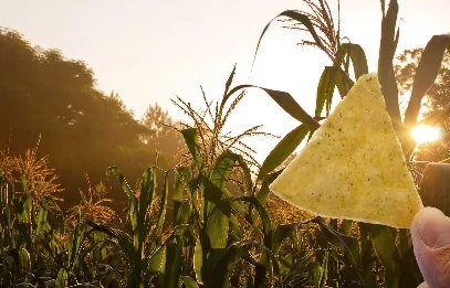 Mexican Corn Products Inc