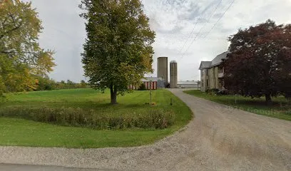 Little Sisters Chicken