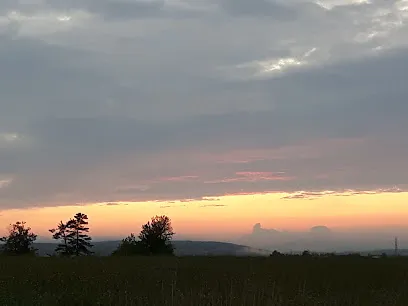 Chico's BBQ Catering