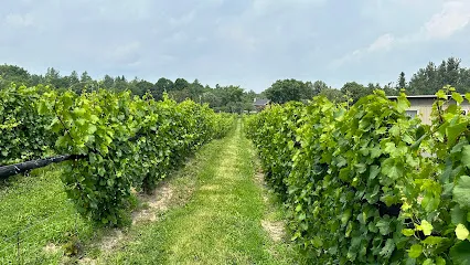 KIN Vineyards