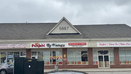 Punjabi By Nature